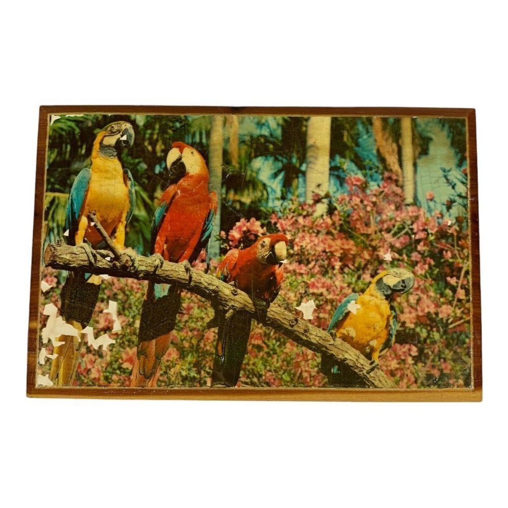 Vintage Sunken Gardens Blue Gold Macaw Decorative Wooden Trinket Box Parrot 6x4